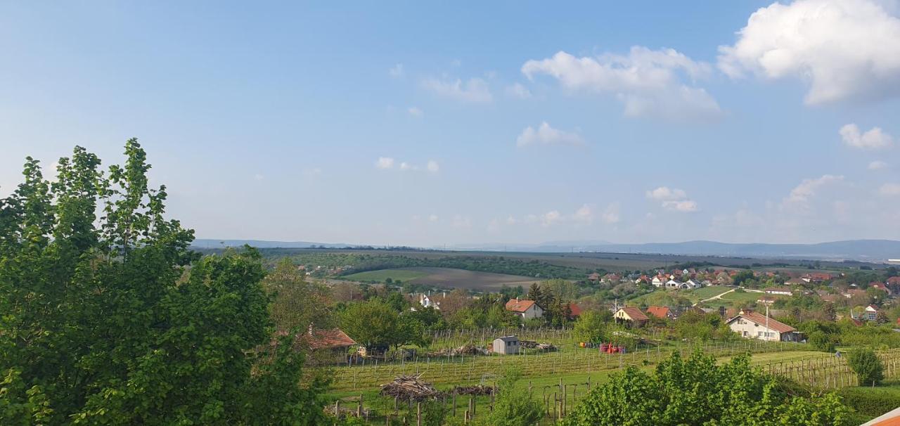 Buborek Apartman - Etyek Exteriér fotografie